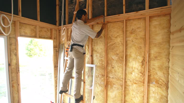 Best Basement Insulation  in Emmitsburg, MD